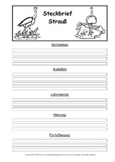Steckbriefvorlage-Strauß.pdf